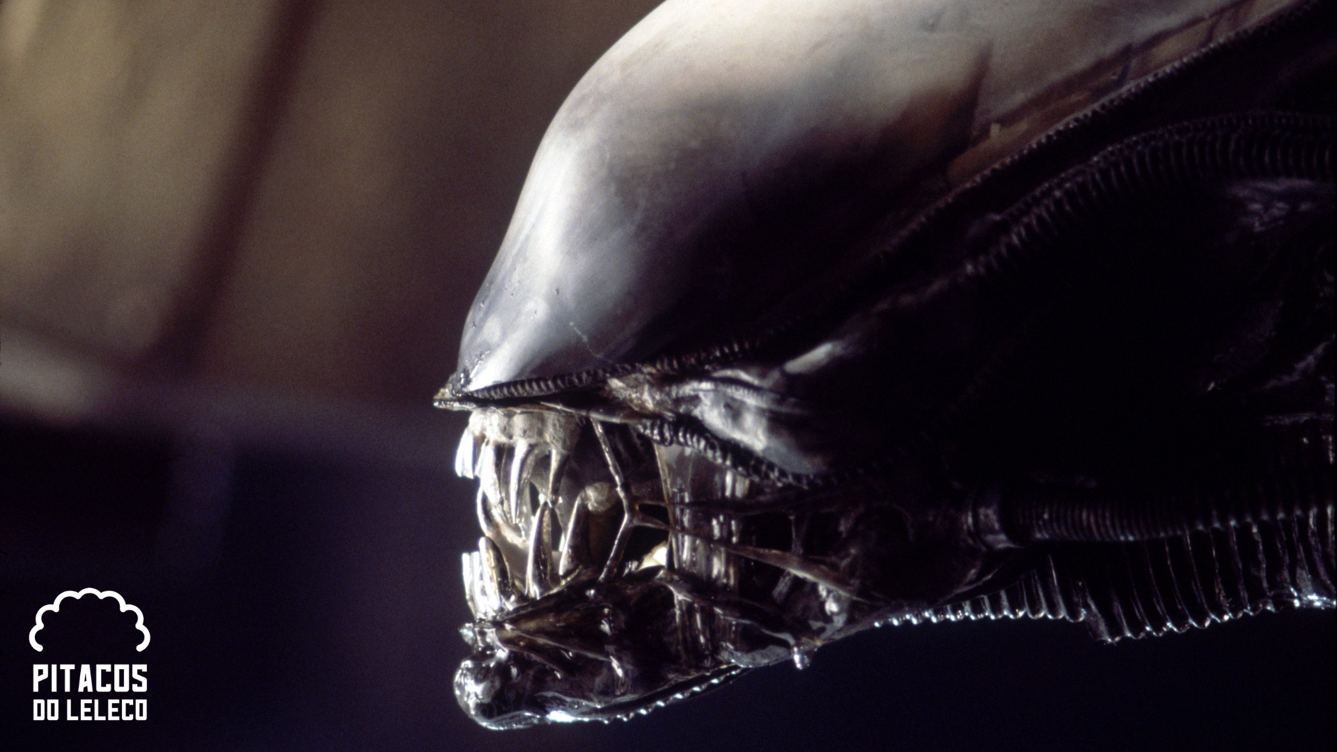 alien quadrilogia