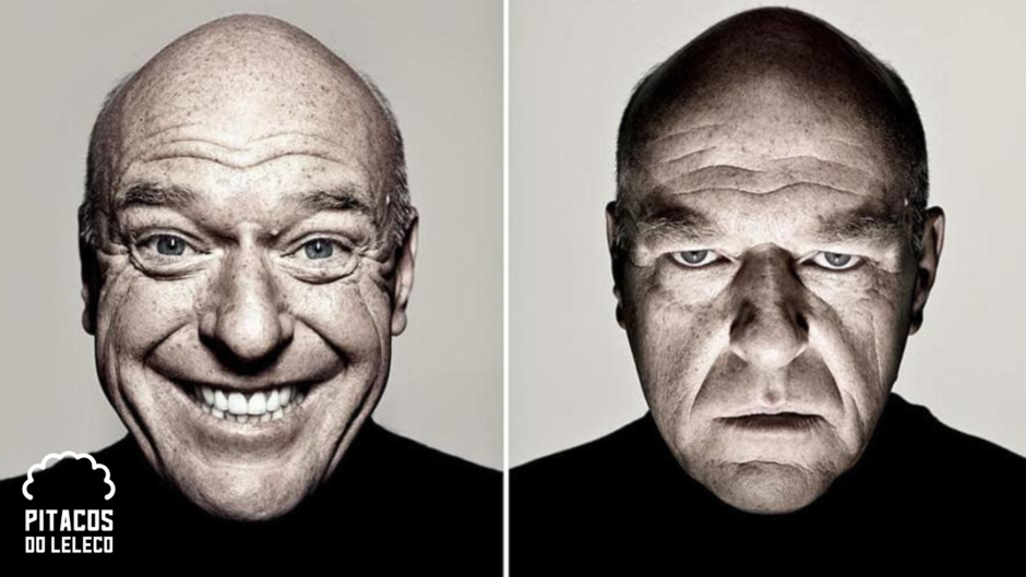 artigo efeito manada